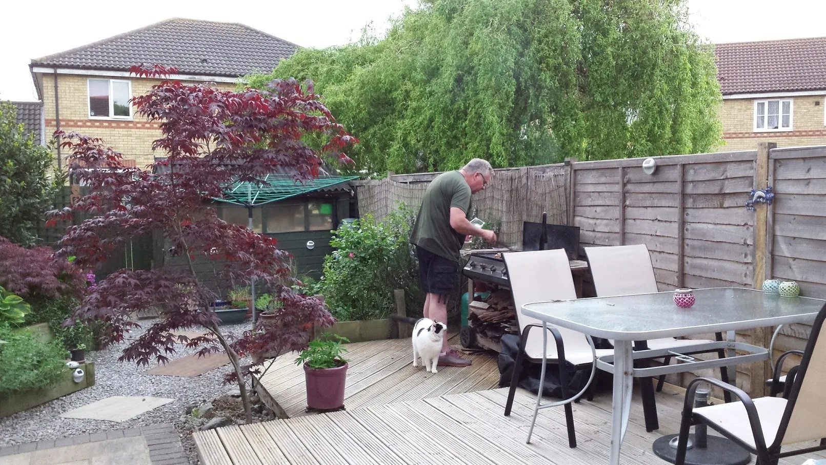 E11 warm enough for a bbq   marshall hopeful (1)